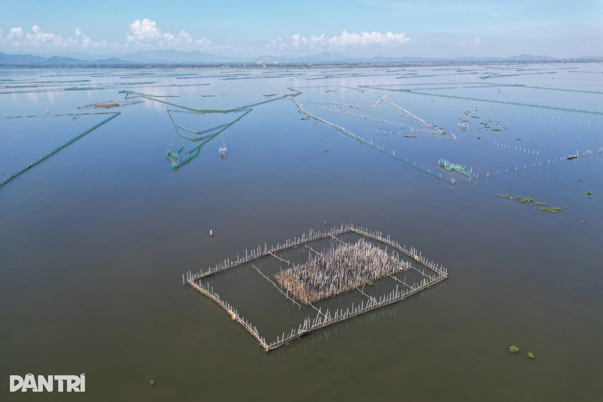 Illegal fishing enclosures spread across Hue lagoon - 1