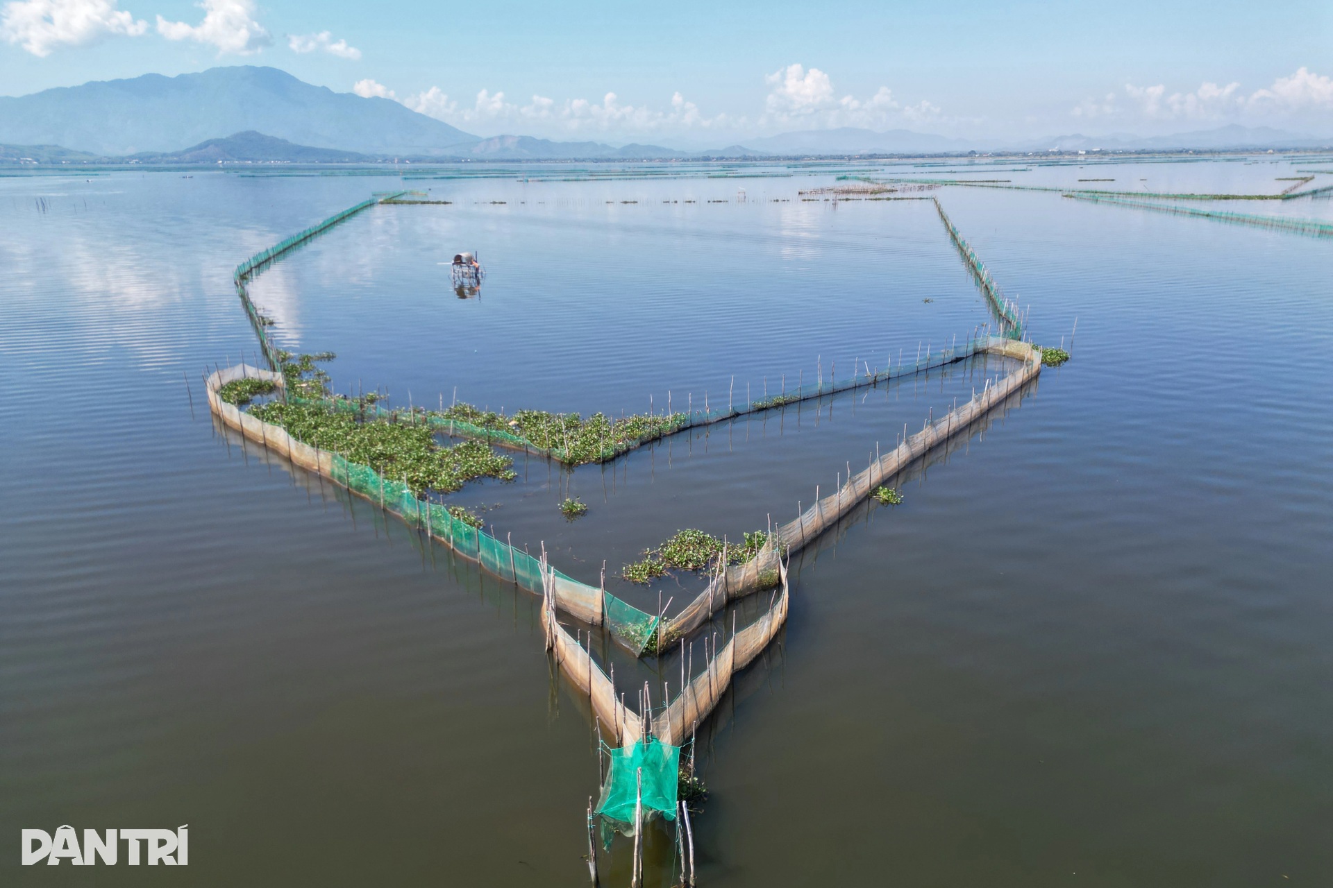 Illegal fishing enclosures spread across Hue lagoon - 2