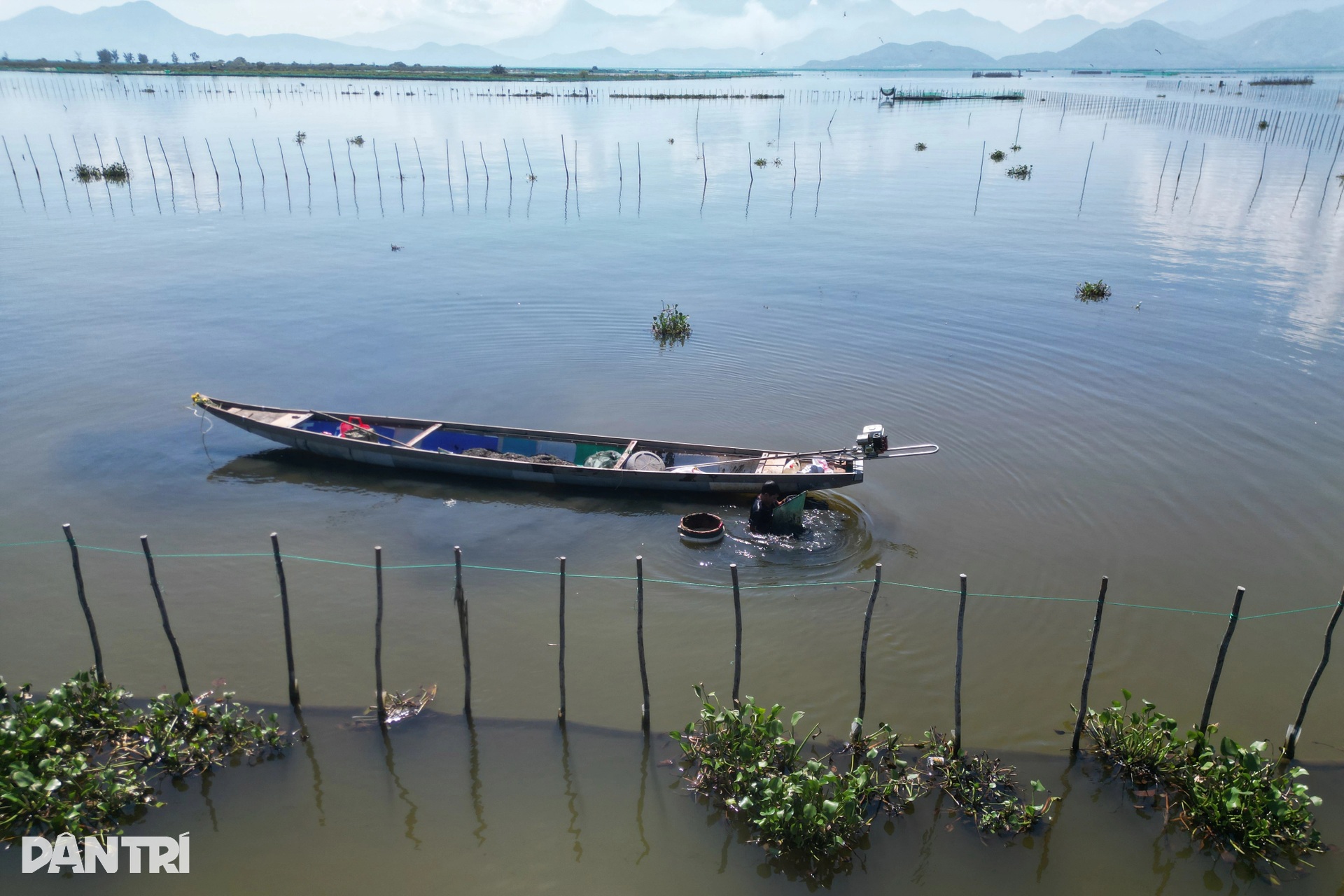 Illegal fishing enclosures spread across Hue lagoon - 8