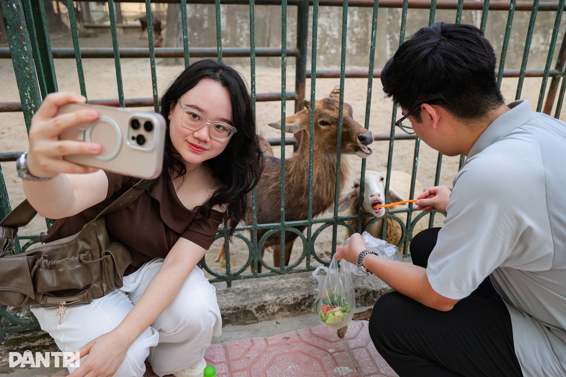 Hanoi’s Thu Le Park shows signs of age ahead of redevelopment - 5