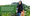 Giới trẻ Việt và hành trình trải xanh Việt Nam - 6