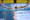 Ngắm các kình ngư Việt Nam trong ngày thi đầu tiên giành 3 HCV SEA Games - 6