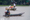 Lựa chọn phóng sinh - 1