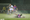 Thủy chiến trên sân Thống Nhất, CLB Hà Nội suýt thất bại trước Sài Gòn FC - 5