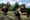 Thời cơ chín muồi ở Ukraine, Nga sẽ biến Kupyansk thành Bakhmut thứ 2? - 2