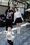 Hot girl dancesport Minh Ánh kể chuyện lấy chồng ở tuổi 20 - 5