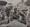 Ảnh tư liệu quý ít được biết về Hội nghị Geneve 1954 - 1