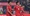 Bóng đá Việt Nam năm 2025: Tương lai bắt đầu từ AFF Cup - 3