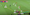Tuyển Indonesia sống lại giấc mơ World Cup: HLV Kluivert không hề bất tài - 7