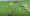 Tuyển Indonesia sống lại giấc mơ World Cup: HLV Kluivert không hề bất tài - 9