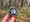 Garmin Instinct 3 Solar: Ai phù hợp? - 4