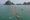 Hàng trăm VĐV nhí tranh tài bơi - chạy ở giải  Aqua Warriors Halong Bay - 1
