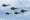Đội hình mũi tên 5 tiêm kích SU-30MK2 đầy uy lực chuẩn bị cho đại lễ A80 - 8