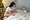 Gen Z khởi nghiệp: Vốn ít nên bắt đầu từ đâu? - 2