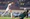 Đội tuyển Việt Nam: Thử nghiệm nhập tịch thất bại, bài học cho Asian Cup - 4