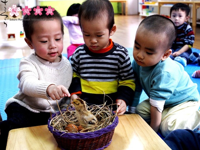 Nuôi dưỡng niềm hạnh phúc trong trẻ, dễ hay khó - 4 Nuôi dưỡng niềm hạnh phúc trong trẻ, dễ hay khó - 4