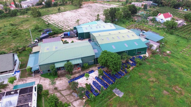 Nhà máy sản xuất và chế biến trầm hương Hoàng Giang tại tỉnh Bình Thuận, Việt Nam