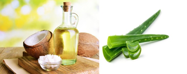 Bật mí những nguyên liệu tự nhiên giúp chăm sóc quần áo dịu nhẹ - 1 Dầu dừa và nha đam - Hai nguyên liệu tự nhiên có mặt ở mọi nhà và là trợ thủ chống nắng đắc lực cho mọi trang phục.