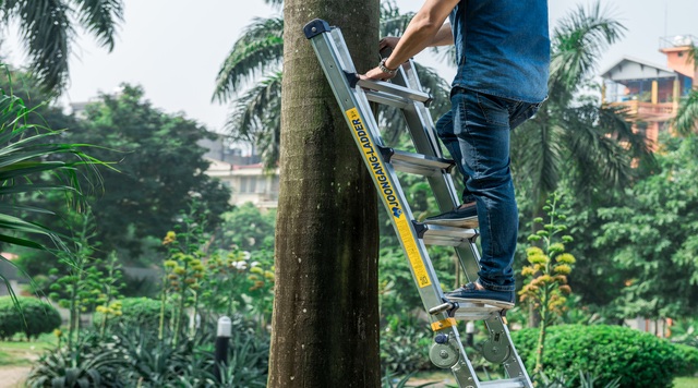 Thang nhôm Joongang Hàn quốc được ưa chuộng tại thị trường Việt Nam - 4 Thang nhôm Joongang Hàn có nhiều tác dụng