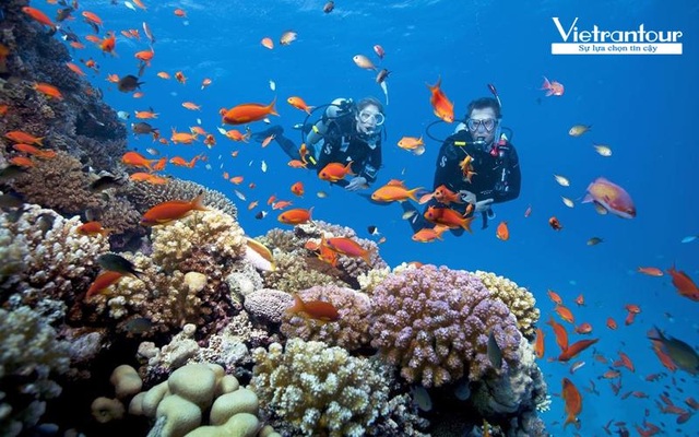 Combo nghỉ dưỡng ở villa Phú Quốc, Nha Trang 5 sao chỉ 1,75 triệu đồng - 4 Combo nghỉ dưỡng ở villa Phú Quốc, Nha Trang 5 sao chỉ 1,75 triệu đồng - 4