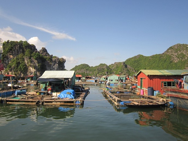 LÃ ng chÃ i CÃ¡i BÃ¨o. (áº¢nh: monkeyislandresort)