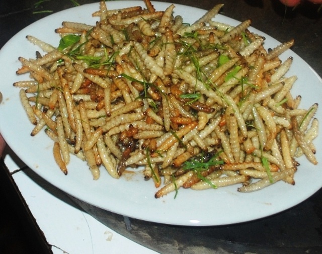Những đặc sản “đánh đố” thực khách chỉ có ở Tây Bắc - 4 Đĩa sâu tre vàng óng, dậy mùi hấp dẫn.