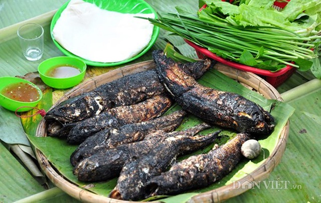 Cá trèo đồi: Đặc sản tiến vua quý hiếm đất Ninh Bình - 2 Thịt cá tràu tiến vua ăn rất chắc và thơm.(Ảnh: danviet)