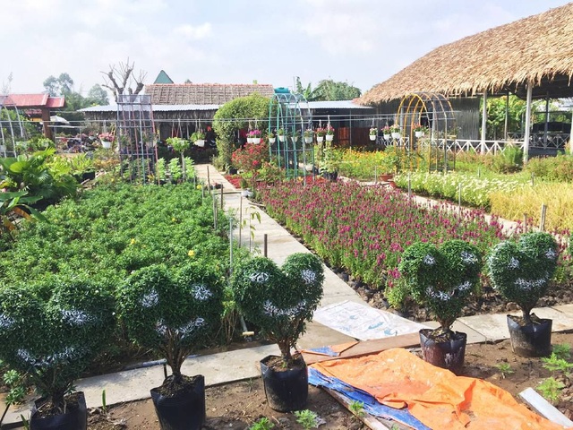 5 điểm du lịch đi “trốn” cái lạnh miền Bắc vào dịp cuối tuần - 6 Khắp nơi rực rỡ sắc hoa. (Ảnh: xuanthaolee97)