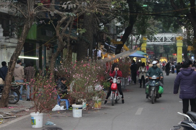 5 phiên chợ cuối năm không nên bỏ lỡ ở Hà Nội - 2 Chợ hoa Hàng Lược thường họp từ sáng sớm tới tận đêm khuya. (Ảnh: H.N)
