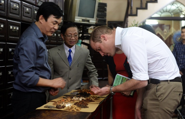 Những hình ảnh đẹp của Hoàng tử William trong chuyến thăm Việt Nam - 3
Sau các cuộc gặp với các nhà lãnh đạo Việt Nam, Hoàng tử William đã có chuyến di dạo phố cổ Hà Nội và ghé thăm một cửa hàng bán thuốc bắc trên phố Lãn Ông. (Ảnh: Reuters)
