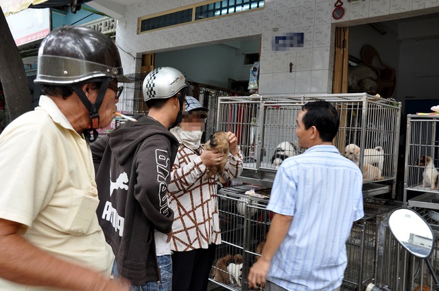 Chuộc thú cưng giá trên trời ở chợ chó mèo lớn nhất Sài Gòn - 3
Khách giao dịch mua bán chó tại một cửa hàng chó cảnh