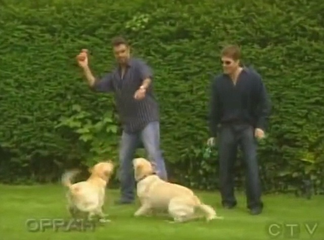 George Michael khoe nhà siêu đẹp trên truyền hình - 6
Khu vườn rộng rãi của Michael