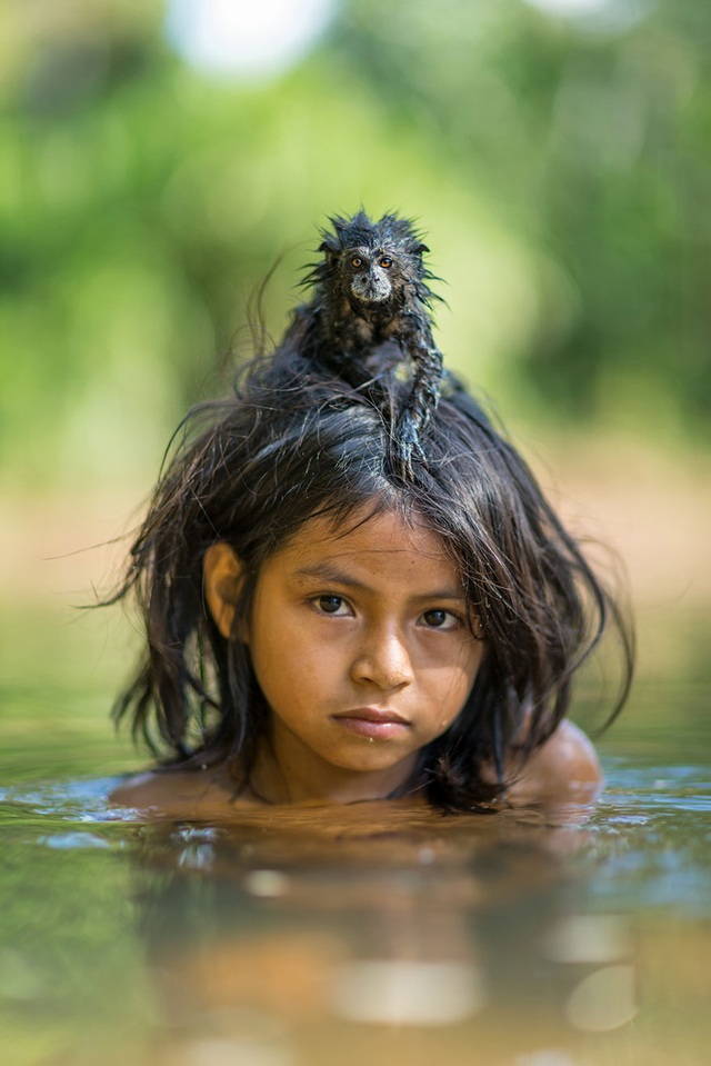 Những bức ảnh ấn tượng nhất 2016 do National Geographic bình chọn - 1
1. Chú khỉ sư tử bám chặt trên đầu Yoina Mameria Nontsotega khi cô bé người dân tộc Matsigenka đang ngâm mình trong dòng sông Yomibato, nằm sâu trong Công viên quốc gia Manú của Peru.