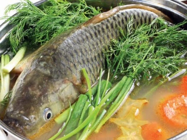 Bác sĩ nói gì nếu bạn có ý định nuốt mật cá trắm chữa bệnh? - 1 Bác sĩ nói gì nếu bạn có ý định nuốt mật cá trắm chữa bệnh? - 1