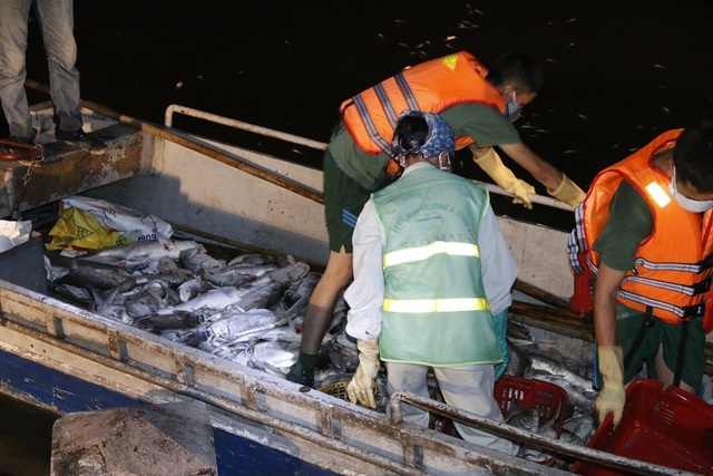 Hơn 10 tấn cá chết ở Hồ Tây - 2 21h tại Hồ Tây nhiều lực lượng công nhân môi trường, công an... vẫn nỗ lực khắc phục hiện tượng cá chết hàng loạt. Ảnh: Trọng Trinh
