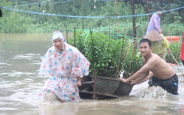 Nam Trung Bộ tiếp tục có mưa lớn trong vài ngày tới - 1
Các tỉnh thuộc khu vực Nam Trung Bộ tiếp tục có mưa lớn trong vài ngày tới (Ảnh minh họa: Bảo An).