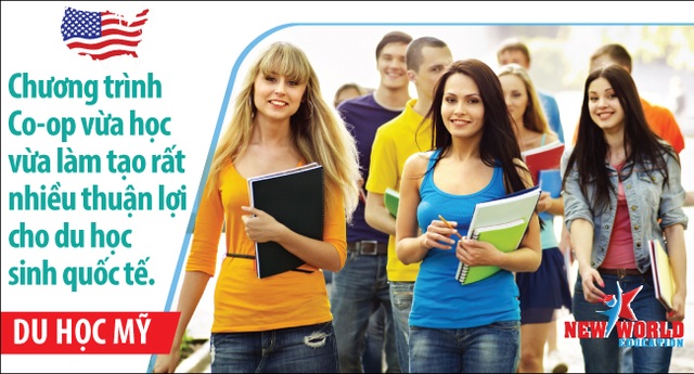Chương trình thực tập hưởng lương Internship và Co-op Mỹ - 1 Chương trình thực tập hưởng lương Internship và Co-op Mỹ - 1