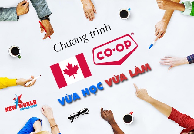 Chương trình thực tập Co-op Canada hút du học sinh quốc tế cùng visa ưu tiên 2017 - 1 Chương trình thực tập Co-op Canada hút du học sinh quốc tế cùng visa ưu tiên 2017 - 1