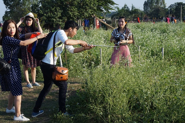 Sa vào chốn này, cô gái đẹp quên cả lối về - 2 Sa vào chốn này, cô gái đẹp quên cả lối về - 2