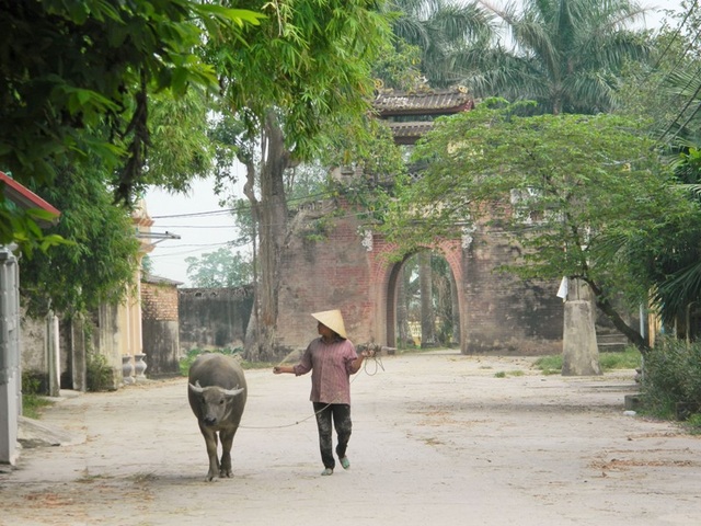 Chiều thu bình yên trên làng cổ Ước Lễ - 12 Chiều thu bình yên trên làng cổ Ước Lễ - 12