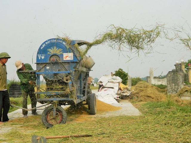 Chiều thu bình yên trên làng cổ Ước Lễ - 14 Chiều thu bình yên trên làng cổ Ước Lễ - 14