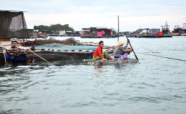 "Hé lộ" nguyên nhân tên gọi về quần đảo Hải Tặc - 8 Phương tiện di chuyển từ bờ ra bè cá của người dân là các miếng xốp ghép lại với nhau.