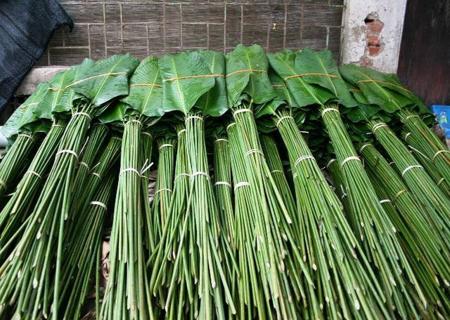 Độc đáo ngôi làng 600 năm tuổi trồng lá dong gói bánh chưng - 3 Những bó lá dong đã được xếp cẩn thận chờ thương lái xuất đi mọi miền đất nước. Ảnh: HP