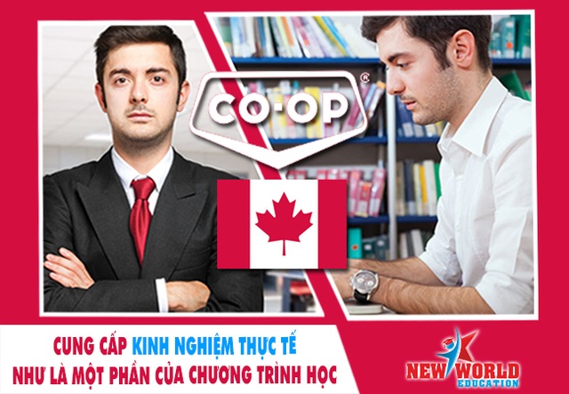 Chương trình thực tập Co-op Canada hút du học sinh quốc tế cùng visa ưu tiên 2017 - 3 Chương trình thực tập Co-op Canada hút du học sinh quốc tế cùng visa ưu tiên 2017 - 3