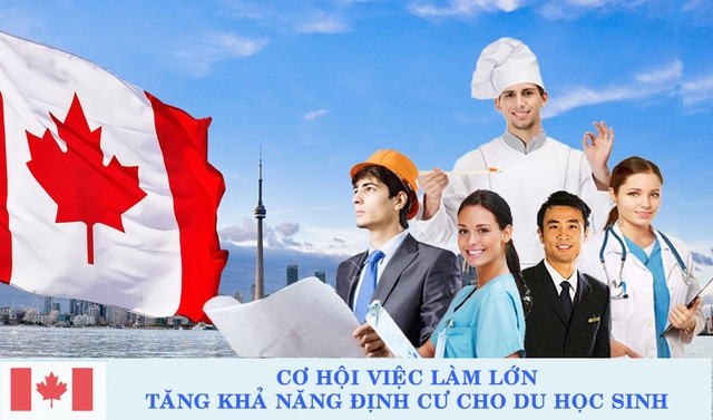 Định cư hợp pháp tại Canada bằng con đường du học - 3 Định cư hợp pháp tại Canada bằng con đường du học - 3
