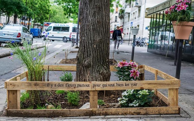 Thủ đô Paris: Người dân trồng cây quanh thành phố - 8 Thủ đô Paris: Người dân trồng cây quanh thành phố - 8