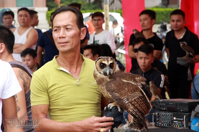 Đại bàng hơn 200 triệu đồng hùng dũng giữa trăm chim săn mồi - 8
Loại cú mèo này nặng khoảng 3kg với bộ lông rất đẹp cùng đôi mắt cực tinh vào ban đêm