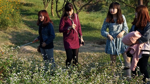 Sa vào chốn này, cô gái đẹp quên cả lối về - 9 Sa vào chốn này, cô gái đẹp quên cả lối về - 9