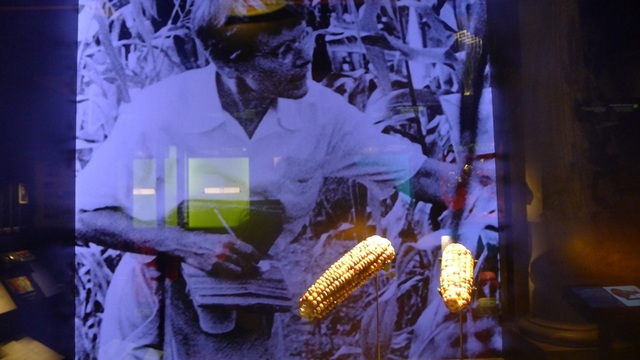 Bảo tàng Nobel - nơi khơi nguồn của sự sáng tạo - 17
Khu vực trưng bày hiện vật mà những người đoạt giải tặng cho bảo tàng là một phần rất thú vị của bảo tàng Nobel.