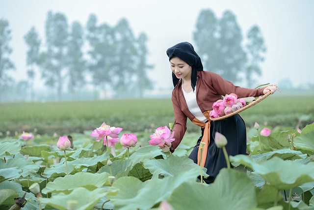 Dáng hình người phụ nữ Việt xưa trong bộ ảnh mùa sen - 12 Mùa sen tuyệt đẹp và nên thơ của Bắc bộ.